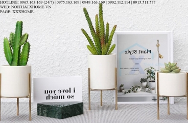 BÌNH LỌ HOA TRANG TRÍ X HOME HÀ NỘI SÀI GÒN HỒ CHÍ MINH XHOME1118