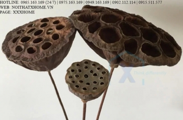 BÌNH LỌ HOA TRANG TRÍ X HOME HÀ NỘI SÀI GÒN HỒ CHÍ MINH XHOME1122