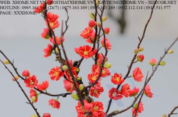 ĐỒ TRANG TRÍ X HOME SÀI GÒN HỒ CHÍ MINH HÀ NỘI XHOME3408