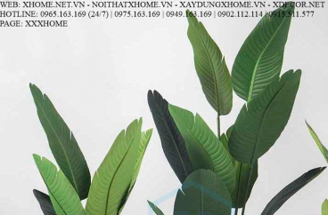 CÂY NỘI THẤT X HOME SÀI GÒN HỒ CHÍ MINH HÀ NỘI XHOME3501