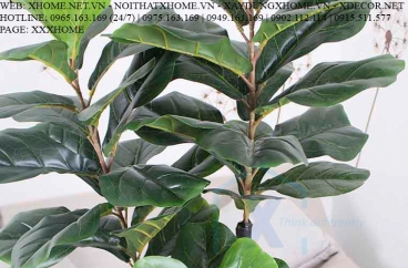CÂY NỘI THẤT X HOME SÀI GÒN HỒ CHÍ MINH HÀ NỘI XHOME3502