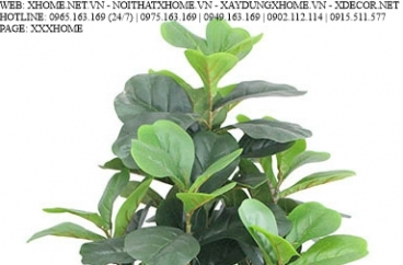 CÂY NỘI THẤT X HOME SÀI GÒN HỒ CHÍ MINH HÀ NỘI XHOME3503