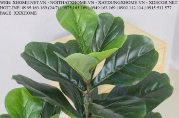 CÂY NỘI THẤT X HOME SÀI GÒN HỒ CHÍ MINH HÀ NỘI XHOME3504