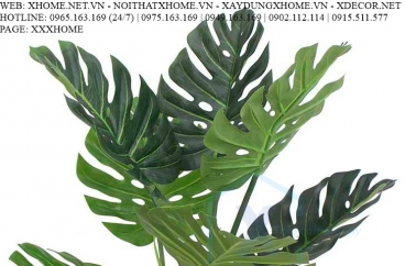 CÂY NỘI THẤT X HOME SÀI GÒN HỒ CHÍ MINH HÀ NỘI XHOME3505