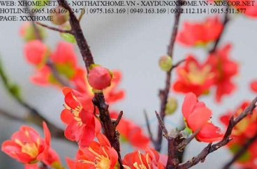 HOA LỤA NGHỆ THUẬT X HOME SÀI GÒN HỒ CHÍ MINH HÀ NỘI XHOME3775
