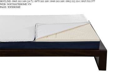 NỆM CAO SU L'A DOME COOL X HOME Hà Nội