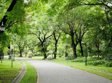  CHÍNH SÁCH TỐT NHẤT DÀNH CHO KHÁCH HÀNG KHI MUA CĂN HỘ DE LA SOL CAPITALAND