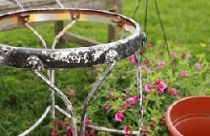 Decor vườn tiểu cảnh nhà mình với ghế cũ 