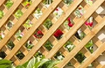 9 bí quyết trang trí sân vườn 