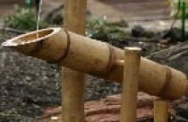 Vòi nước ống tre 