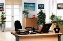 Bàn làm việc của người tuổi Nhâm Tuất 