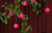 Ánh sáng lung linh trong vườn nhà 