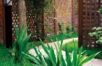 Nét duyên của lối đi trong vườn 