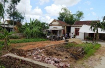 Có được trồng cây trên ranh giới đất chung giữa 2 nhà?