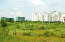Nhà sai hướng 