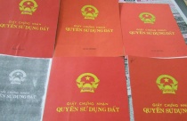 Quy định về chuyển quyền sử dụng đất
