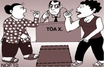 Tranh chấp quyền sử dụng đất