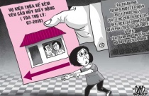 Kiện thừa kế kèm yêu cầu hủy giấy hồng, ai xử?
