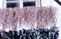 Thiết kế ngoại thất đón Giáng Sinh 