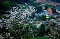 Những điểm du lịch hấp dẫn dịp cuối năm 