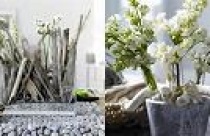 Đất nhà ở hiện hữu giữ lại chỉnh trang là gì?