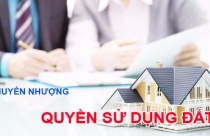 Lối nhỏ trong vườn tràn ngập sắc xuân 