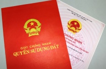 Trường hợp nào không được nhận chuyển nhượng quyền sử dụng đất?