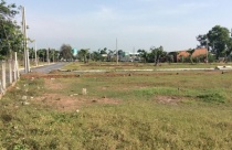 Chuyển đổi mục đích sử dụng đất trồng cây lâu năm sang đất ở