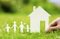 Đơn vị sự nghiệp công lập có được cho thuê đất?