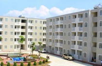 Chậu nước nhỏ làm duyên cho khu vườn 