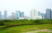 Khu vườn thân thiện với trẻ em 