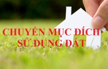 Cách làm cổng cho nhà vườn đẹp và phù hợp phong thủy