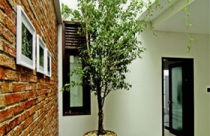 Mảng xanh trên những tầng lầu