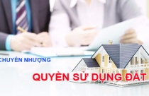 Người nước ngoài có được nhận chuyển nhượng quyền sử dụng đất tại Việt Nam?