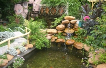 Bài trí tiểu cảnh trong nhà