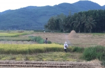 Tranh nào không nên treo trong phòng ngủ?