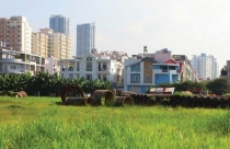 Nguyên tắc sử dụng rèm cửa hợp phong thủy