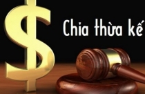  Phân chia tài sản thừa kế