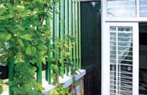 Thêm xanh cho không gian chuyển tiếp