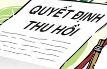 Có thông báo thu hồi, có được chuyển nhượng quyền sử dụng đất?