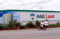 Những tử huyệt của Hoàng Anh Gia Lai