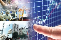 Gam màu tối vẫn chủ đạo trong bức tranh kinh tế