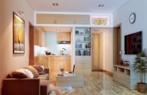 Căn hộ 25m2: Mơ ước và chính sách phải thực tế