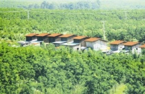 Nước đã đến chân Hoàng Anh Gia Lai
