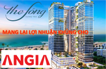 Thương vụ thần kỳ: An Gia bỏ ra thêm 100 triệu có ngay lợi nhuận 190 tỷ