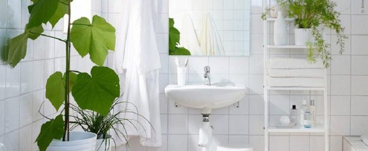  Trang trí phòng tắm như thế này thì chẳng lo nóng về mùa hè					