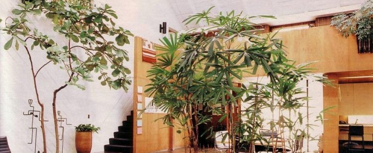  Những thứ không nên đặt trong phòng khách nhỏ – bạn đã biết?					