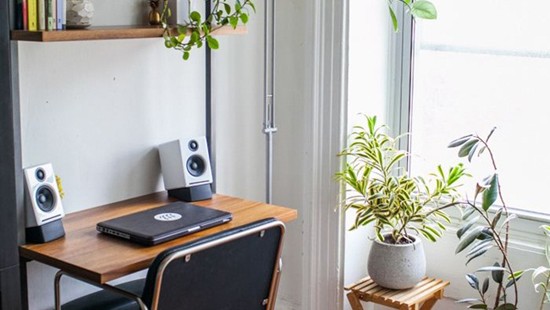  Sử dụng cây xanh trong trang trí phòng làm việc.					
