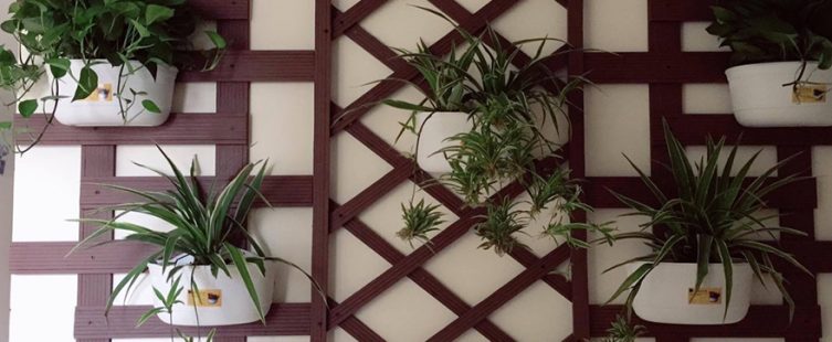  Những cách trang trí ban công đẹp lung linh ai cũng có thể áp dụng					