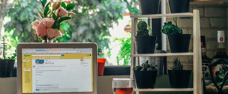  Cây cảnh trang trí bàn làm việc mang lại nhiều may mắn					